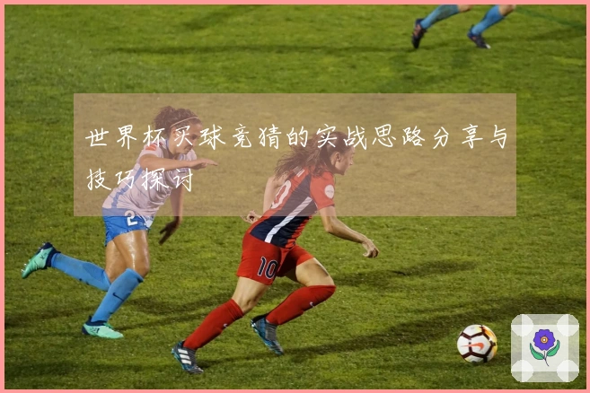世界杯买球竞猜的实战思路分享与技巧探讨