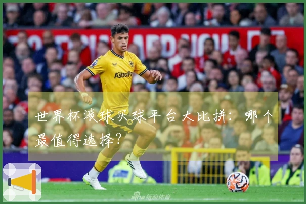 世界杯滚球买球平台大比拼：哪个最值得选择？