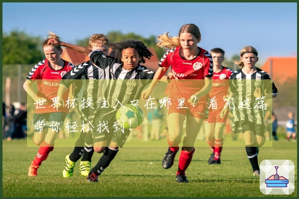 世界杯投注入口在哪里？看完这篇带你轻松找到！
