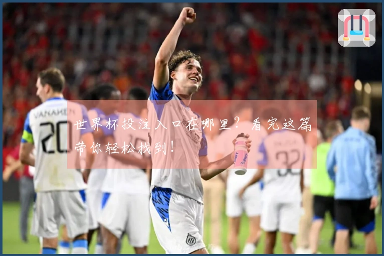 世界杯投注入口在哪里？看完这篇带你轻松找到！